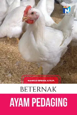 Beternak Ayam Pedaging