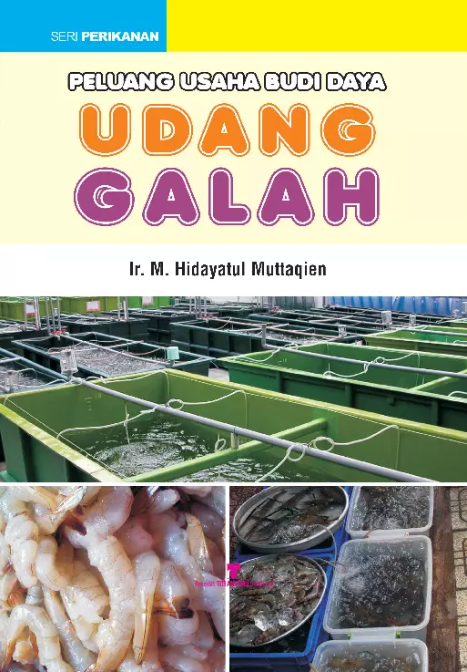 Peluang usaha budidaya udang galah