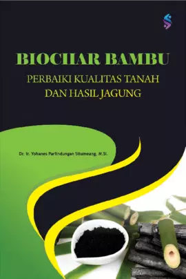 Biochar bambu