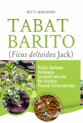 Tabat Barito (Ficus Deltoidea Jack)