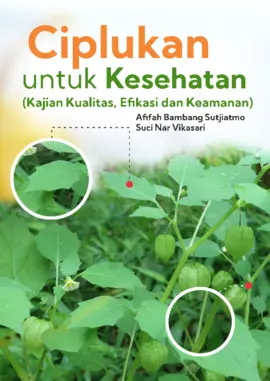 Ciplukan Untuk Kesehatan (Kajian Kualitas, Efikasi, Dan Keamanan)