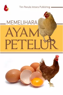 MEMELIHARA AYAM PETELUR