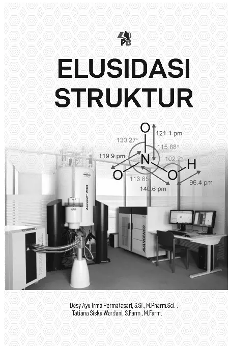 Elusidasi Struktur