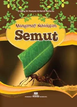 Mengamati kehidupan semut