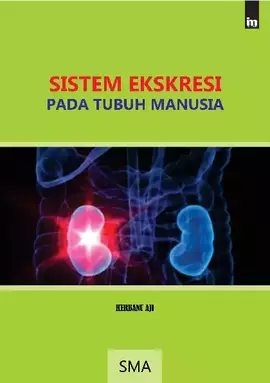 Sistem Ekskresi Pada Tubuh Manusia