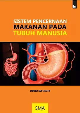 Sistem Pencernaan Makanan Pada Tubuh Manusia