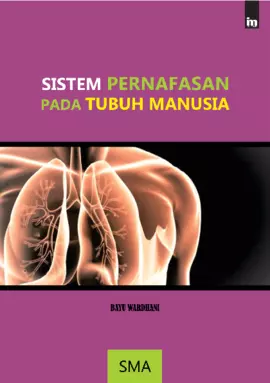 Sistem Pernafasan Pada Tubuh Manusia