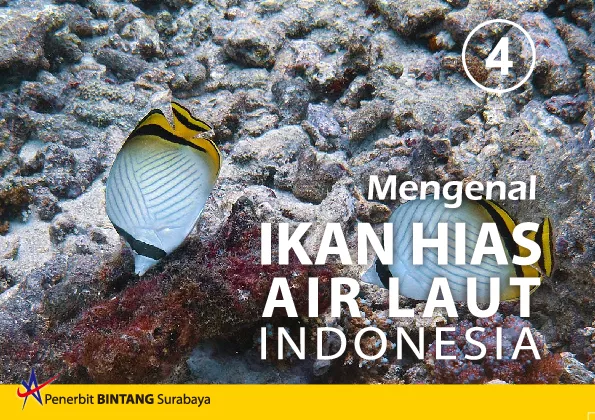 Mengenal Ikan Hias Air Laut Indonesia 4