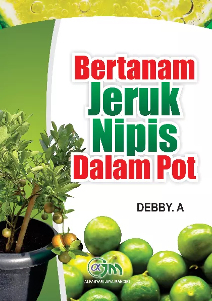 Bertanam Jeruk Nipis dalam Pot