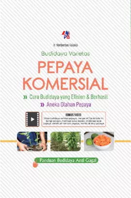 Budidaya Varietas Pepaya Komersial Full Colour