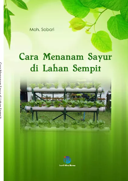 Cara Menanam Sayur di LahanSempit