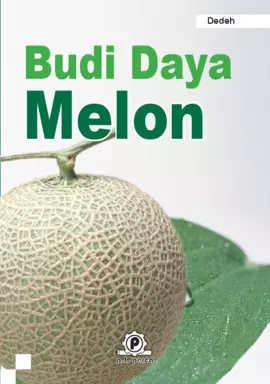 Budi Daya Melon