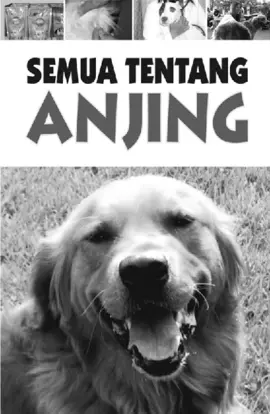 Semua Tentang Anjing