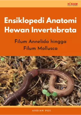 Ensiklopedi Anatomi Hewan Invertebrata: Filum Annelida hinggaFilum Mollusca