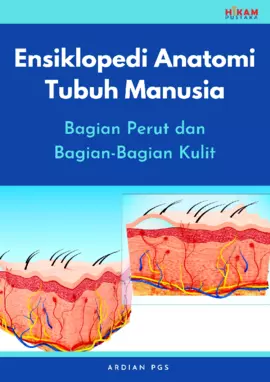 Ensiklopedi Anatomi Tubuh Manusia: Bagian Perut dan Bagian-Bagian Kulit