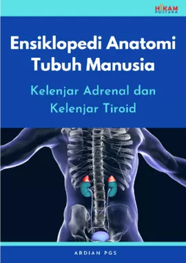 Ensiklopedi Anatomi Tubuh Manusia: Kelenjar Adrenal dan KelenjarTiroid