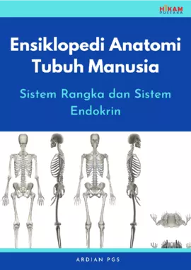 Ensiklopedi Anatomi Tubuh Manusia: Sistem Rangka dan SistemEndokrin