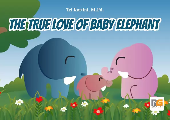 The True Love of Baby Elephant