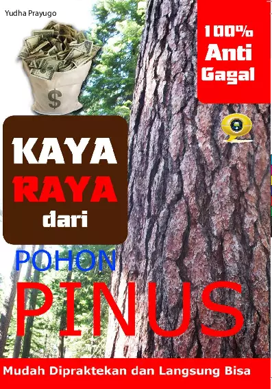 Kaya Raya dari Pohon Pinus