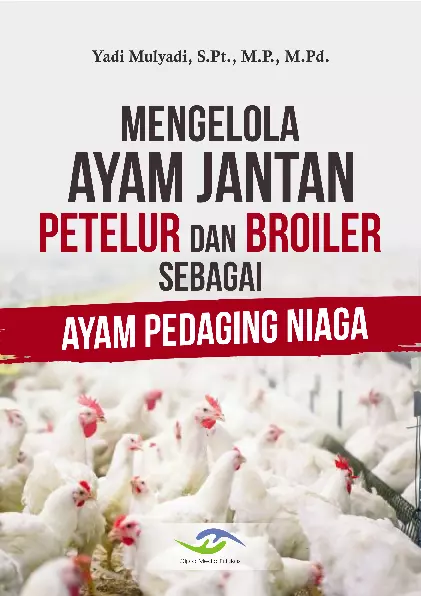 Mengelola Ayam Jantan Petelur dan Broiler sebagai Ayam Pedaging Niaga