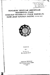 Pengaruh Vesicular Arbuscular Mycorrhiza (Vam) Terhadap Penyerapan Unsur Fosfor (P) Oleh Akar Tanaman Jagung (Zea Mays Linn)