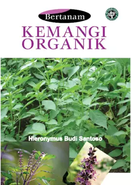 Bertanam Kemangi Organik