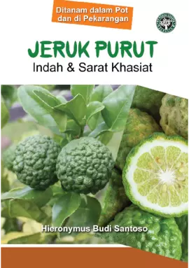 Jeruk Purut - Indah dan Sarat Khasiat (Ditanam dalam Pot dan di Pekarangan)