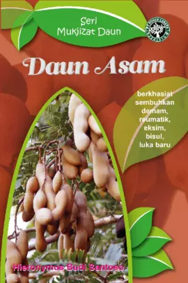 Seri Mukjizat Daun: Daun Asam (Berkhasiat Sembuhkan Demam, Reumatik, Eksim, Bisul, Luka Baru)