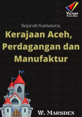 Sejarah Sumatera: Kerajaan Aceh,  Perdagangan dan Manufaktur