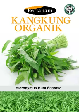 Bertanam Kangkung Organik