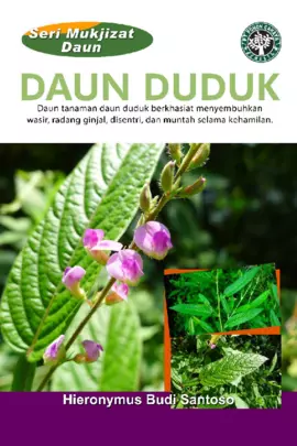 Seri Mukjizat Daun: Daun Duduk (Daun Tanaman Daun Duduk Berkhasiat Menyembuhkan Wasir, Radang Ginjal, Disentri, dan Muntah selama Kehamilan)