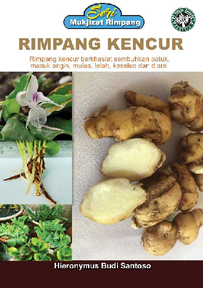 Seri Mukjizat Rimpang: Rimpang Kencur (Rimpang kencur berkhasiat sembuhkan batuk, masuk angin, mulas, lelah, keseleo dan diare)