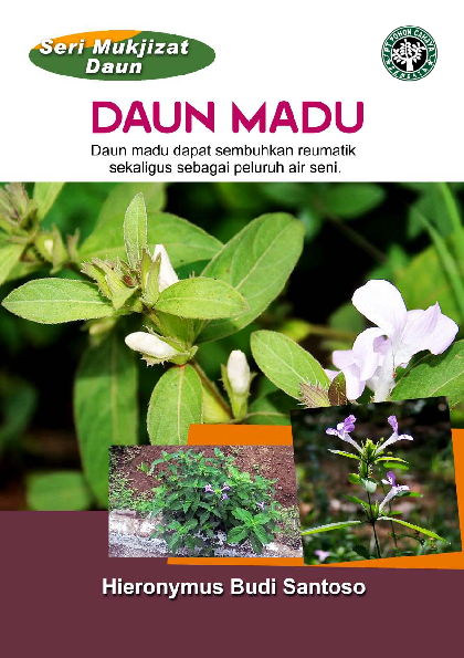 Seri Mukjizat Daun: Daun Madu (Daun madu dapat sembuhkan reumatik sekaligus sebagai peluruh air seni)