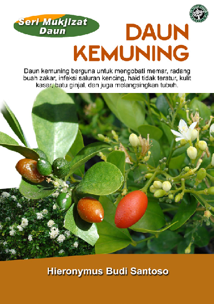 Seri Mukjizat Daun: Daun Kemuning