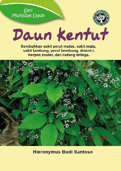 Seri Mukjizat Daun: Daun Kentut