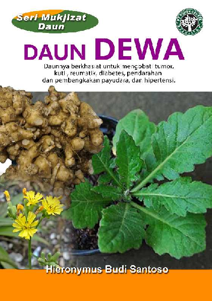 Seri Mukjizat Daun: Daun Dewa (Daunnya berkhasiat untuk mengobati tumor, kutil, reumatik, diabetes, pendarahan dan pembengkakan payudara, dan hipertensi)