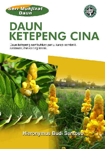 Seri Mukjizat Daun: Daun Ketepeng Cina (Daun ketepeng sembuhkan panu, kurap, sembelit, sariawan, dan cacing kremi)