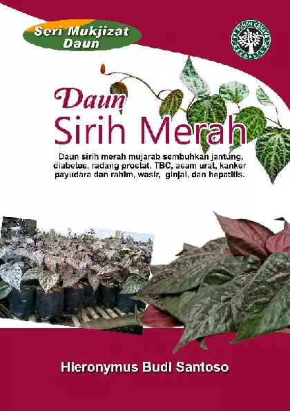 Seri Mukjizat Daun: Daun Sirih Merah