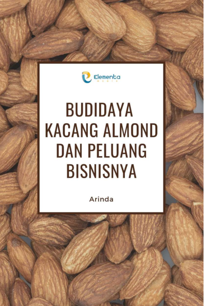 Budidaya Kacang Almond dan Peluang Bisnisnya