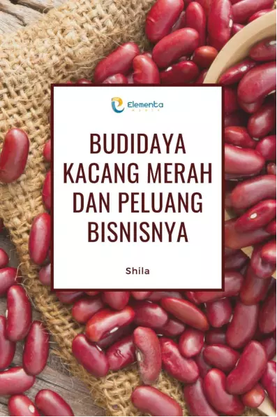 Budidaya Kacang Merah dan Peluang Bisnisnya