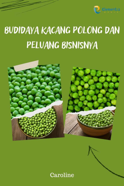 Budidaya Kacang Polong dan Peluang Bisnisnya