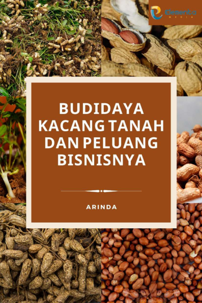 Budidaya Kacang Tanah dan Peluang Bisnisnya