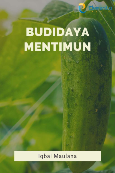 Budidaya Mentimun