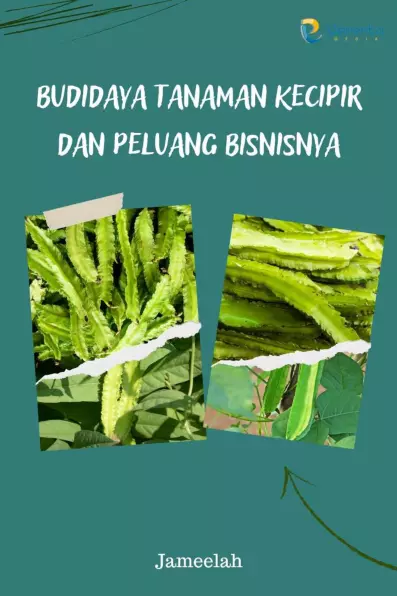 Budidaya Tanaman Kecipir dan Peluang Bisnisnya