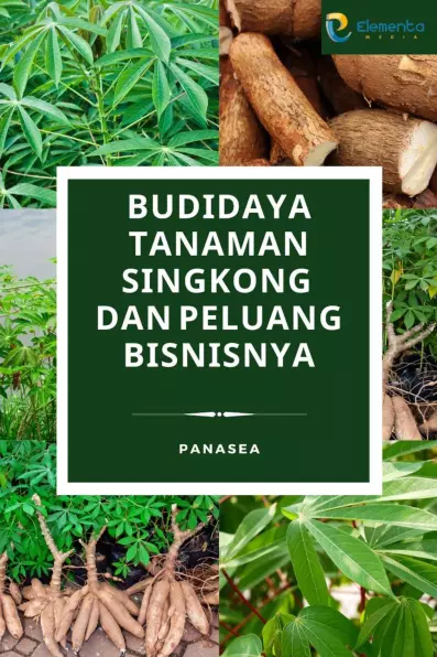 Budidaya Tanaman Singkong dan Peluang Bisnisnya