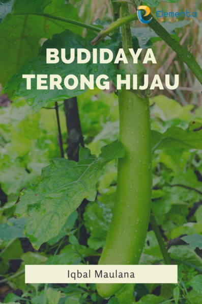 Budidaya Terong Hijau