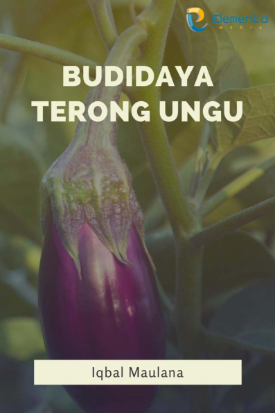 Budidaya Terong Ungu