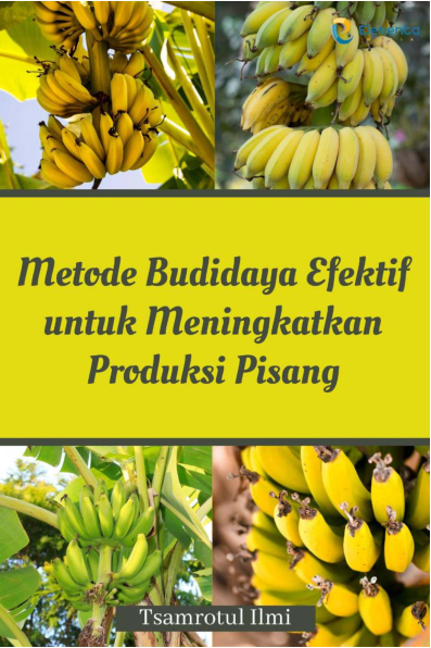 Metode Budidaya Efektif untuk Meningkatkan Produksi Pisang