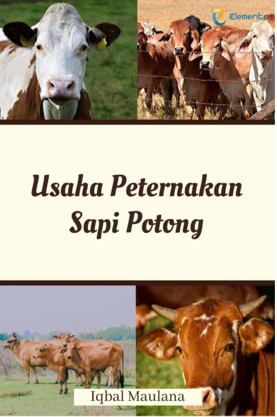 Usaha Peternakan Sapi Potong