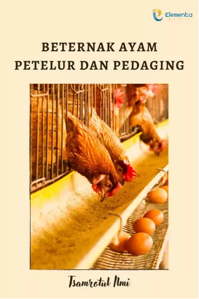 Beternak Ayam Petelur dan Pedaging